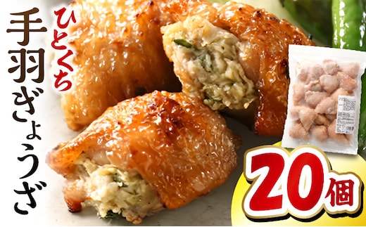ひとくち手羽ぎょうざ 20個入×1パック_M025-005-01
