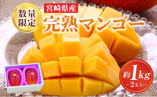 《2026年発送先行予約》【数量・期間限定】完熟マンゴーA3L(2玉入り)_M056-001_17