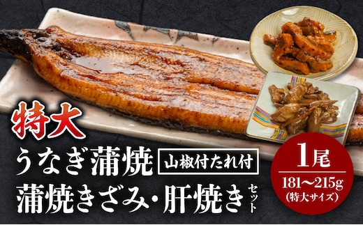 国産うなぎ蒲焼(特大サイズ)・きざみ・肝焼きセット_M069-014_01