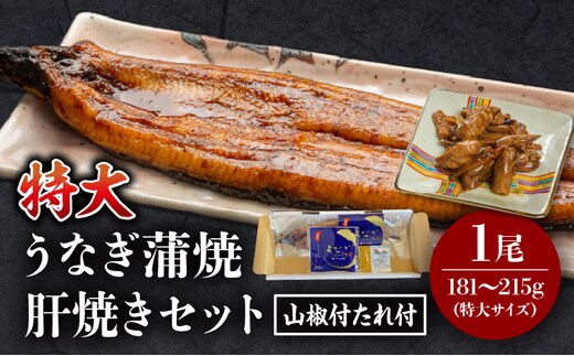 国産うなぎ蒲焼(特大サイズ)・肝焼きセット_M069-015_01
