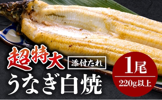 うなぎ白焼(超特大サイズ) 1尾_M069-025