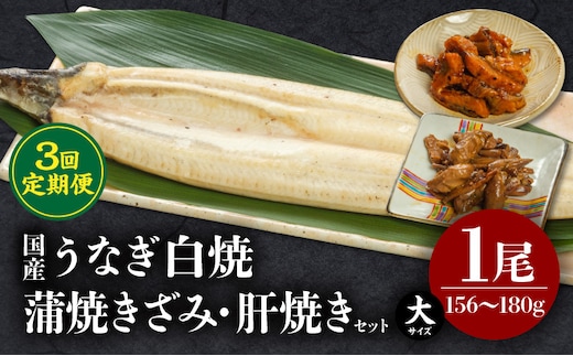 【3回定期便】うなぎ白焼(大サイズ)・きざみ・肝焼きセット_M069-T020-3-2