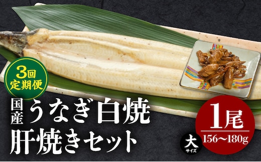 【3回定期便】うなぎ白焼(大サイズ)・肝焼きセット_M069-T022-3-2
