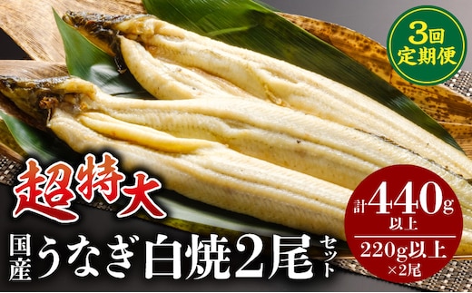 【3回定期便】うなぎ白焼(超特大サイズ)2尾_M069-T023-3-2