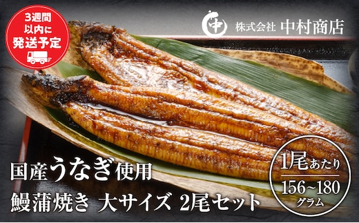 鰻蒲焼 大サイズ2尾セット_M069-008_03
