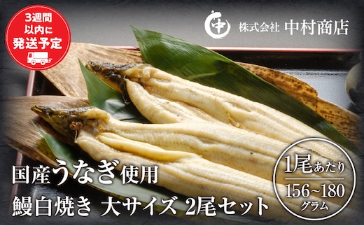 国産うなぎ使用 鰻白焼き 大サイズ（156～180g）2尾・肝焼きセット_M069-010_03