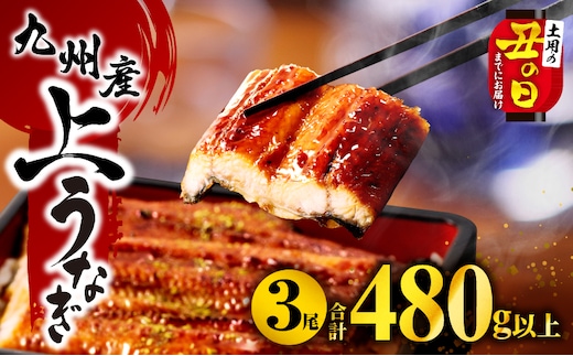 【丑の日までにお届け】九州産うなぎ蒲焼3尾(計480g以上＆さんしょう、たれ付き)_M040-012-U