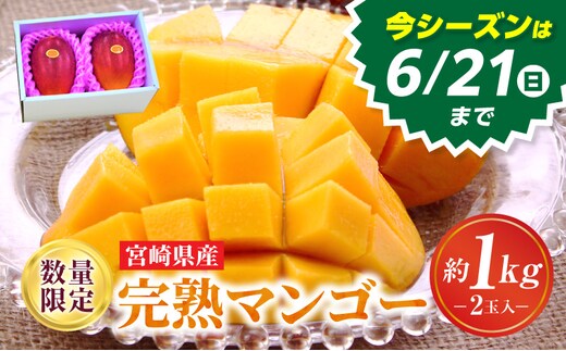 《2026年発送》【数量・期間限定】完熟マンゴーA3L(2玉入り)_M056-001_17