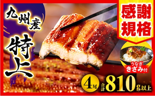 九州産うなぎ蒲焼4尾(さんしょう、たれ付き)うなぎ蒲焼きざみ1袋付き 計810g_M040-011-B