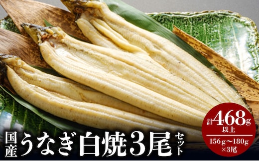 国産うなぎ白焼3尾セット_M069-019