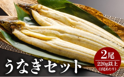 うなぎ白焼 2尾_M069-023