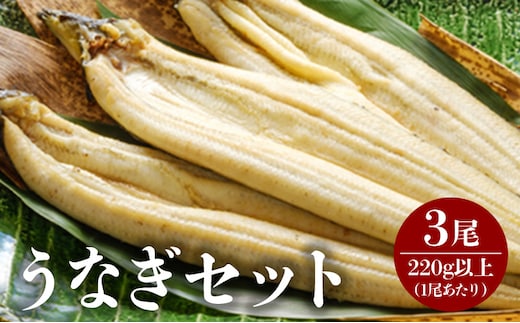 うなぎ白焼 3尾_M069-024