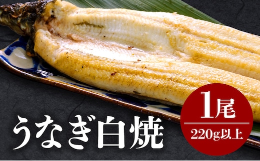うなぎ白焼 1尾_M069-025
