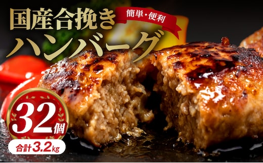 国産合挽きハンバーグ32個_M132-018_02
