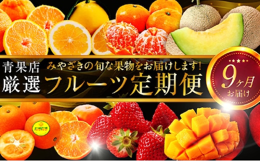 青果店厳選！「くだもの定期便Vol.1」(全9回)_M153-004