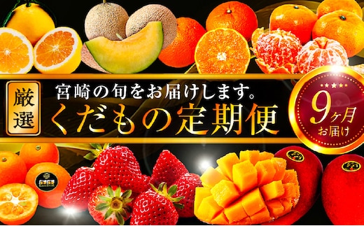 青果店厳選！「くだもの定期便Vol.3」（全9回）_M153-007