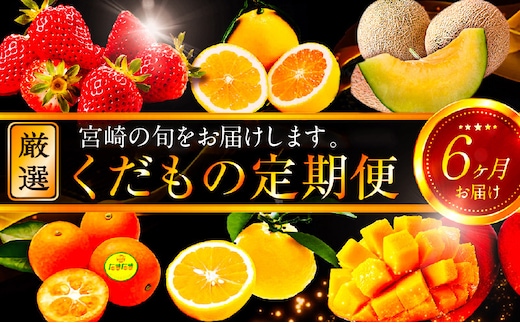 《2026年発送先行予約》【数量・期間限定】青果店厳選！「6ヶ月お届け！くだもの定期便Vol.2」_M153-T026
