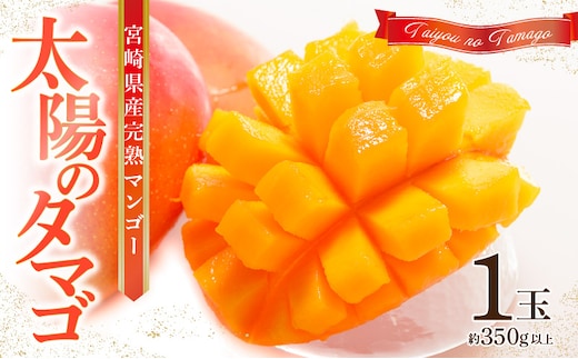 《2026年発送先行予約》【数量・期間限定】宮崎県産 太陽のタマゴ 1玉_M184-003_02