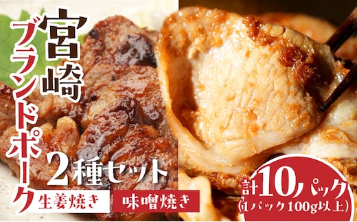 宮崎ブランドポーク2種セット 生姜焼き・味噌焼きセット 計10パック（1パック100g以上）_M199-002