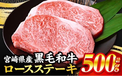 【数量限定】畜産農家応援！宮崎県産黒毛和牛ロースステーキ250g×2_M132-091-PU3