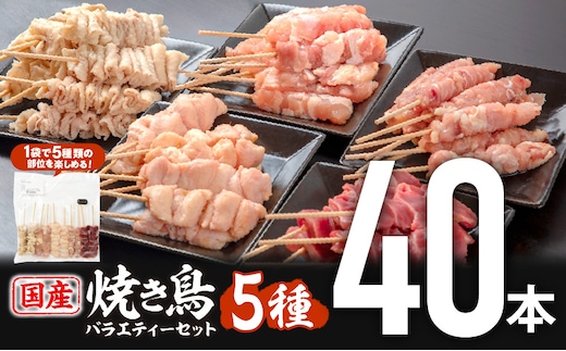 若鶏の焼き鳥セット5種(40本)バラエティーセット_M146-015
