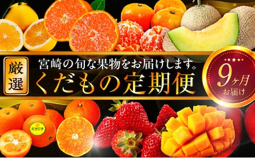 青果店厳選！「くだもの定期便Vol.2」（全9回）_M153-005