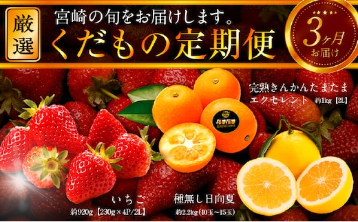 《2026年発送先行予約》【数量・期間限定】青果店厳選！「3ヶ月お届け！くだもの定期便Vol.3」_M153-T023