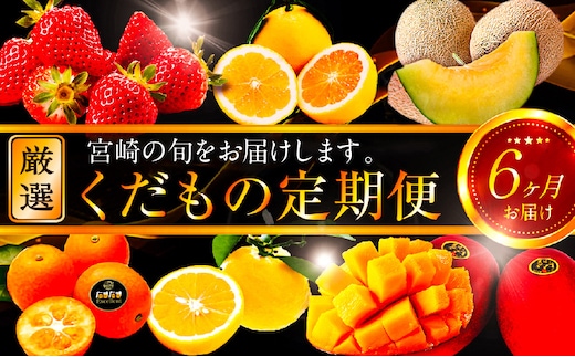 《2026年発送先行予約》【数量・期間限定】青果店厳選！「6ヶ月お届け！くだもの定期便Vol.3」_M153-T027