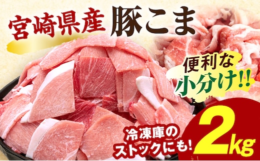 宮崎県産豚肉小間切れ 200g×10パック_M109-024-01