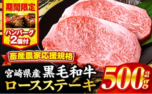 【期間・数量限定】畜産農家応援！宮崎県産黒毛和牛ロースステーキ250g×2・国産牛ハンバーグ100g×2個_M132-091-PU-B2