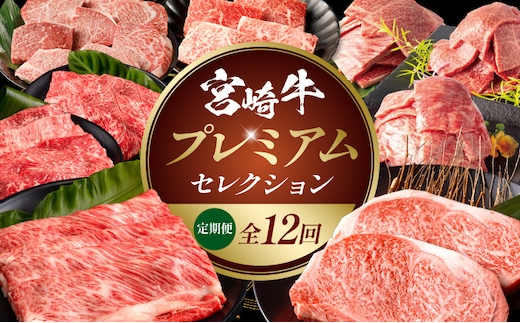 【全12回定期便】宮崎牛プレミアムセレクション_M132-T042-12-1