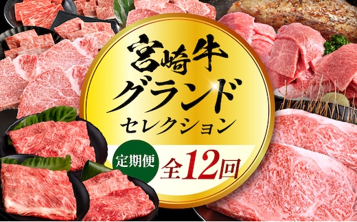 【全12回定期便】宮崎牛グランドセレクション_M132-T043-12-1
