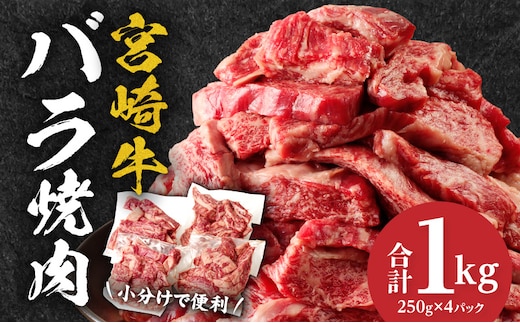 宮崎牛バラ焼肉 合計1kg_M144-020