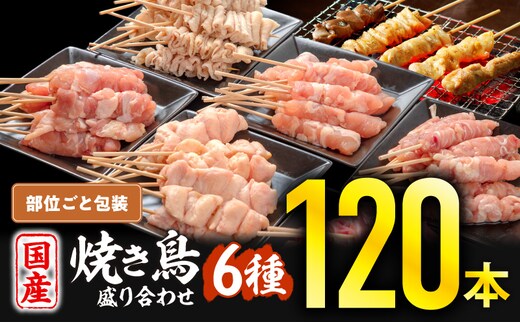 若鶏の焼き鳥セット6種(120本)盛り合わせ_M146-001-01