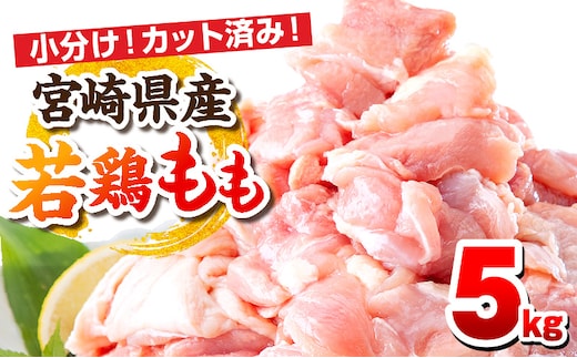 宮崎県産若鶏 もも肉 5kg（250g×20パック）_M146-008_02