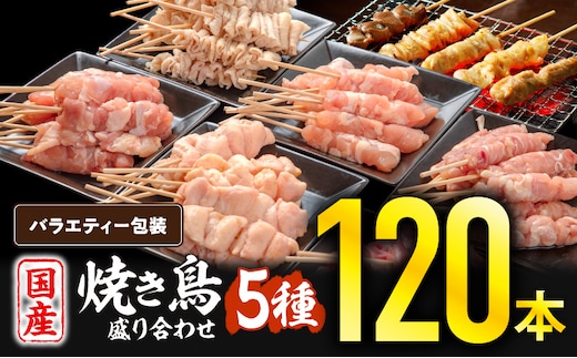 若鶏の焼き鳥セット5種(120本)バラエティーセット_M146-016-01
