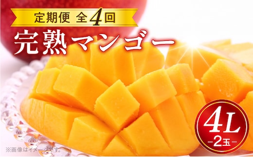 《2026年発送先行予約》【数量・期間限定】完熟マンゴー4L×2玉定期便 全4回_M153-T034