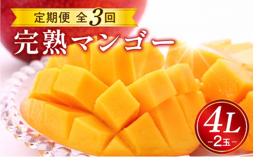 《2026年発送先行予約》【数量・期間限定】完熟マンゴー4L2玉定期便 全3回_M153-T035