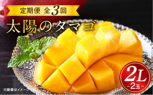 《2026年発送先行予約》【数量・期間限定】太陽のタマゴ2L2玉定期便 全3回_M153-T036