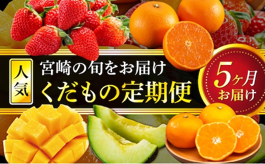 「人気くだもの定期便」全5回_M153-T038