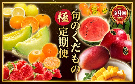 【数量限定】旬のくだもの【極】定期便【全9回】_M153-T043