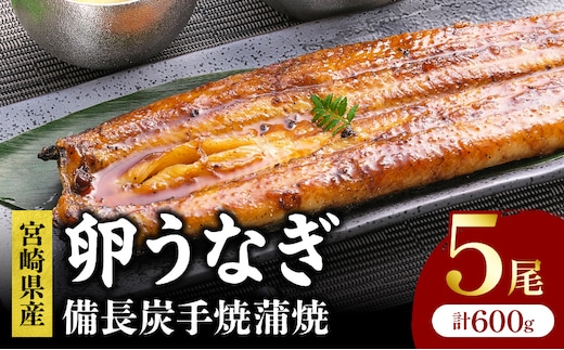 「卵うなぎ」備長炭手焼蒲焼 5尾(計600g)_M159-012-07