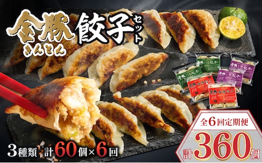 【定期便 偶数月 全6回】金豚餃子セット（香港餃子・しそ餃子・にら餃子 1パック10個入×各2パック）_M166-T002-6
