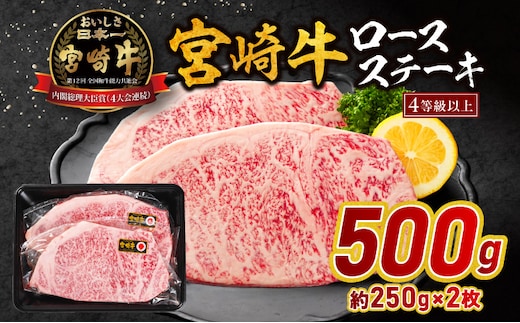 宮崎牛ロースステーキ 500g_M179-023