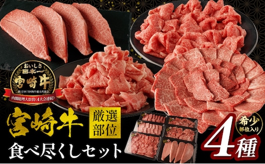 宮崎牛厳選部位食べ尽くしセット_M179-027