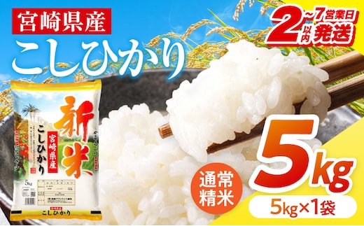 【2～7営業日以内に発送予定】《令和8年産》宮崎県産こしひかり 合計5kg(5kg×1袋)_M181-007-01-7E