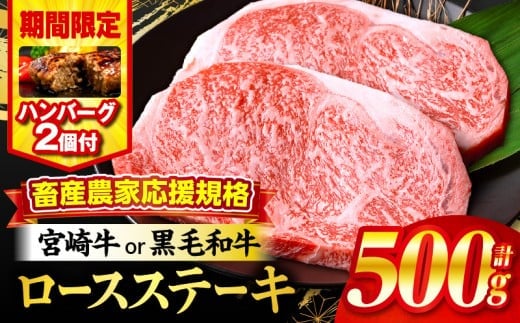 【期間・数量限定】畜産農家応援！宮崎牛ロースステーキ250g×2・国産牛ハンバーグ100g×2個_M132-014-PU-B2