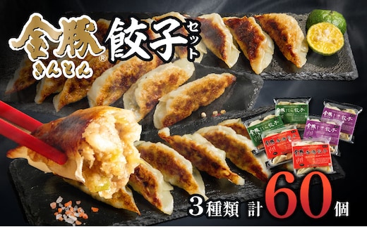 金豚 餃子セット_M166-005