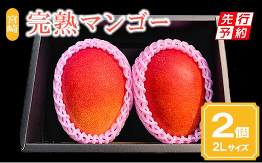 《2026年発送先行予約》【期間・数量限定】宮崎完熟マンゴー2玉 2Lサイズ(1玉350～399g)_M126-014_01