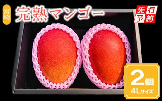 《2026年発送先行予約》【期間・数量限定】宮崎市産完熟マンゴー2玉 4Lサイズ(1玉450～499g)_M126-016_01